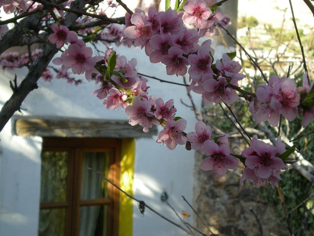 Appartamento Casa Curtos Catorce Camera foto